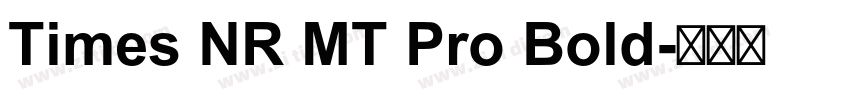 Times NR MT Pro Bold字体转换
